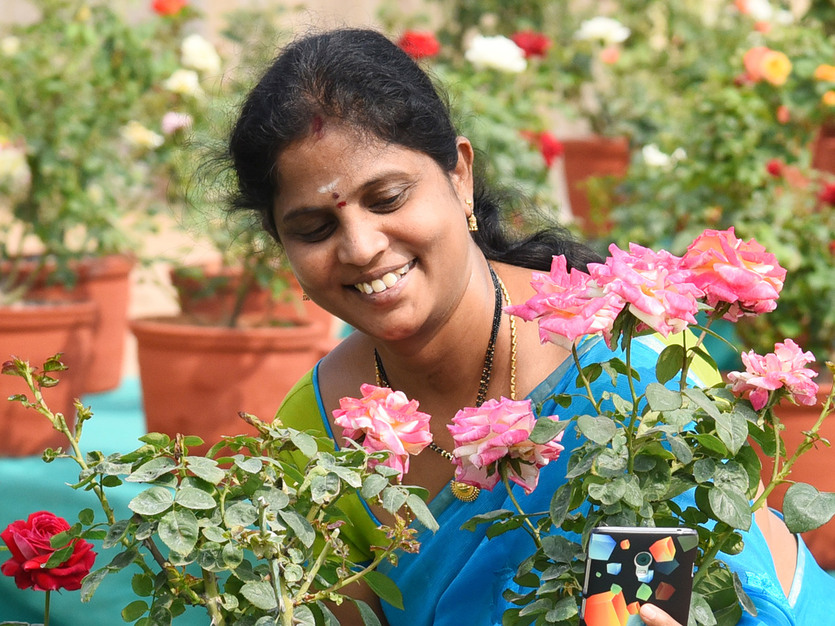 National rose show from in Vijayawada - Sakshi25