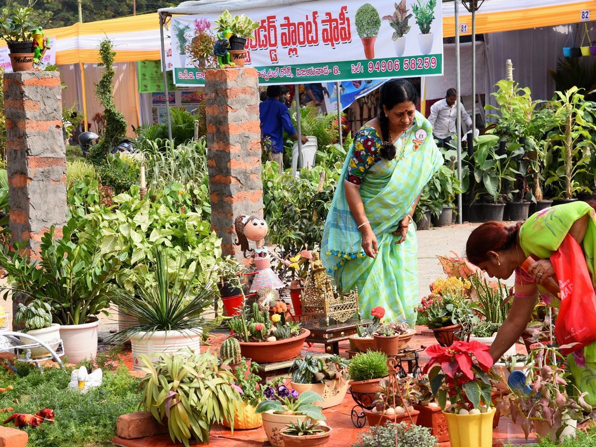 National rose show from in Vijayawada - Sakshi26