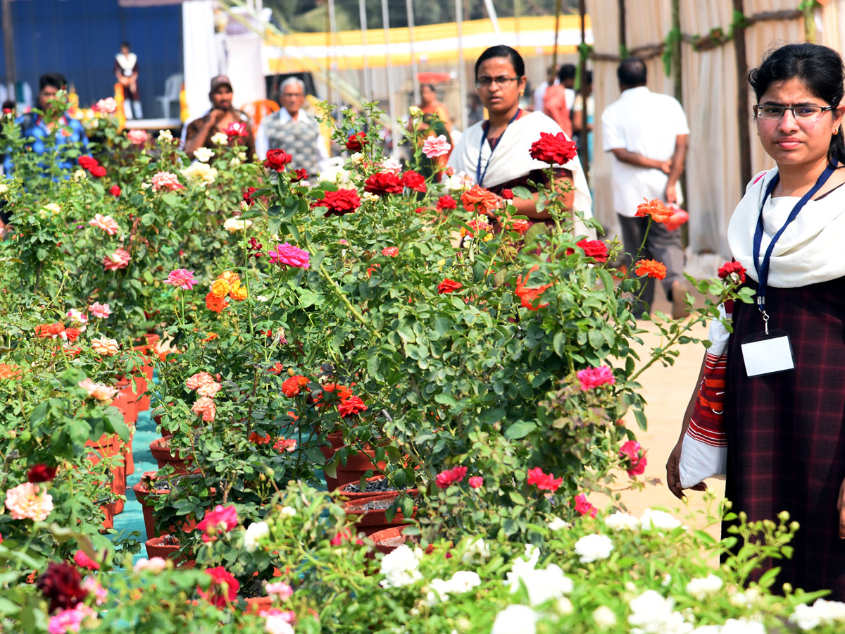 National rose show from in Vijayawada - Sakshi2