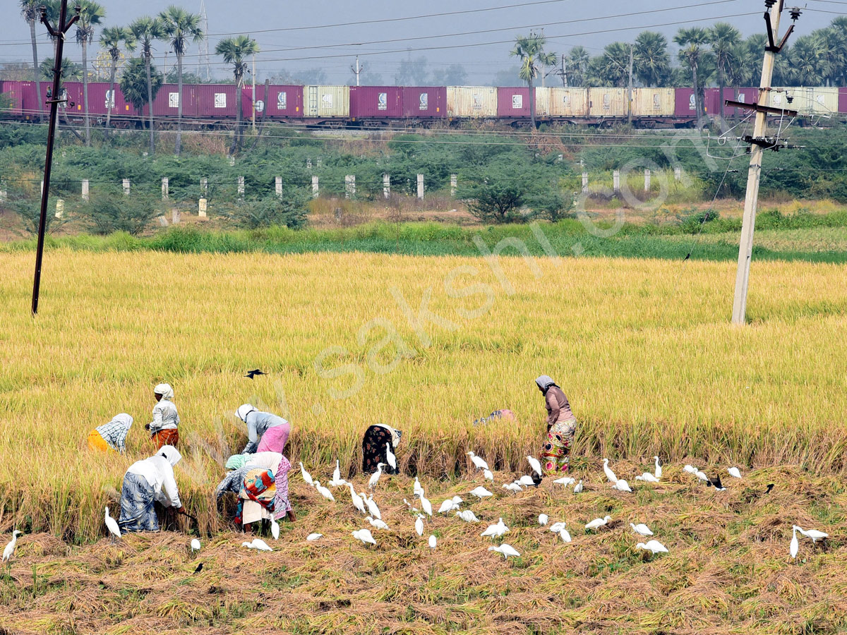 best photography in sakshi - Sakshi8