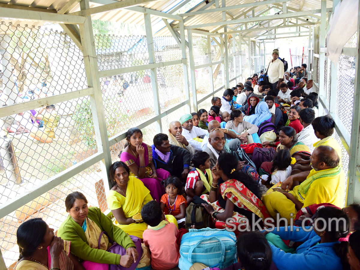 heavy rush pilgrims tirumala - Sakshi15