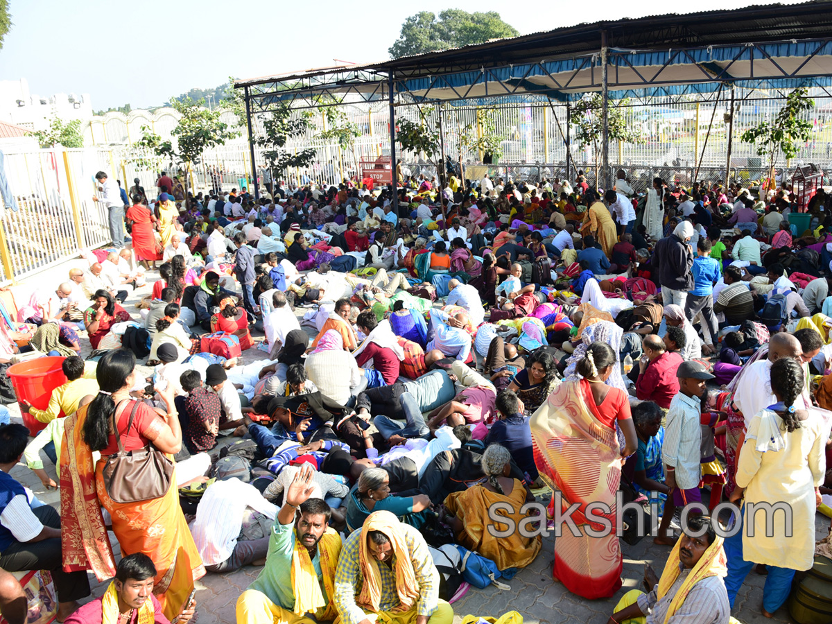 heavy rush pilgrims tirumala - Sakshi16