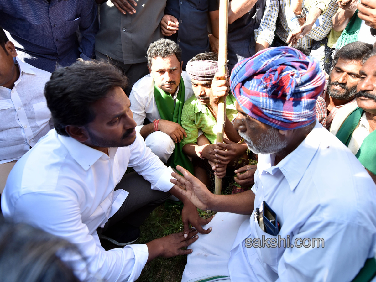 YS Jagan 48th Day PrajaSankalpaYatra end - Sakshi11