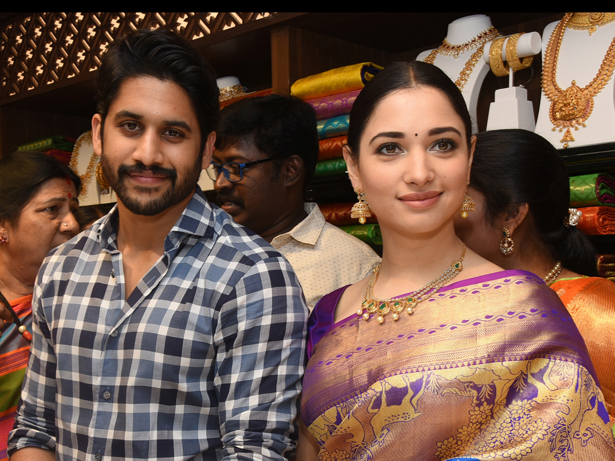 Naga Chaitanya And Tamanna Grand Entry In Guntur - Sakshi2