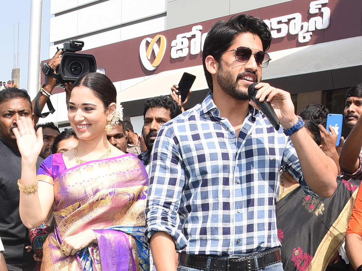 Naga Chaitanya And Tamanna Grand Entry In Guntur - Sakshi10