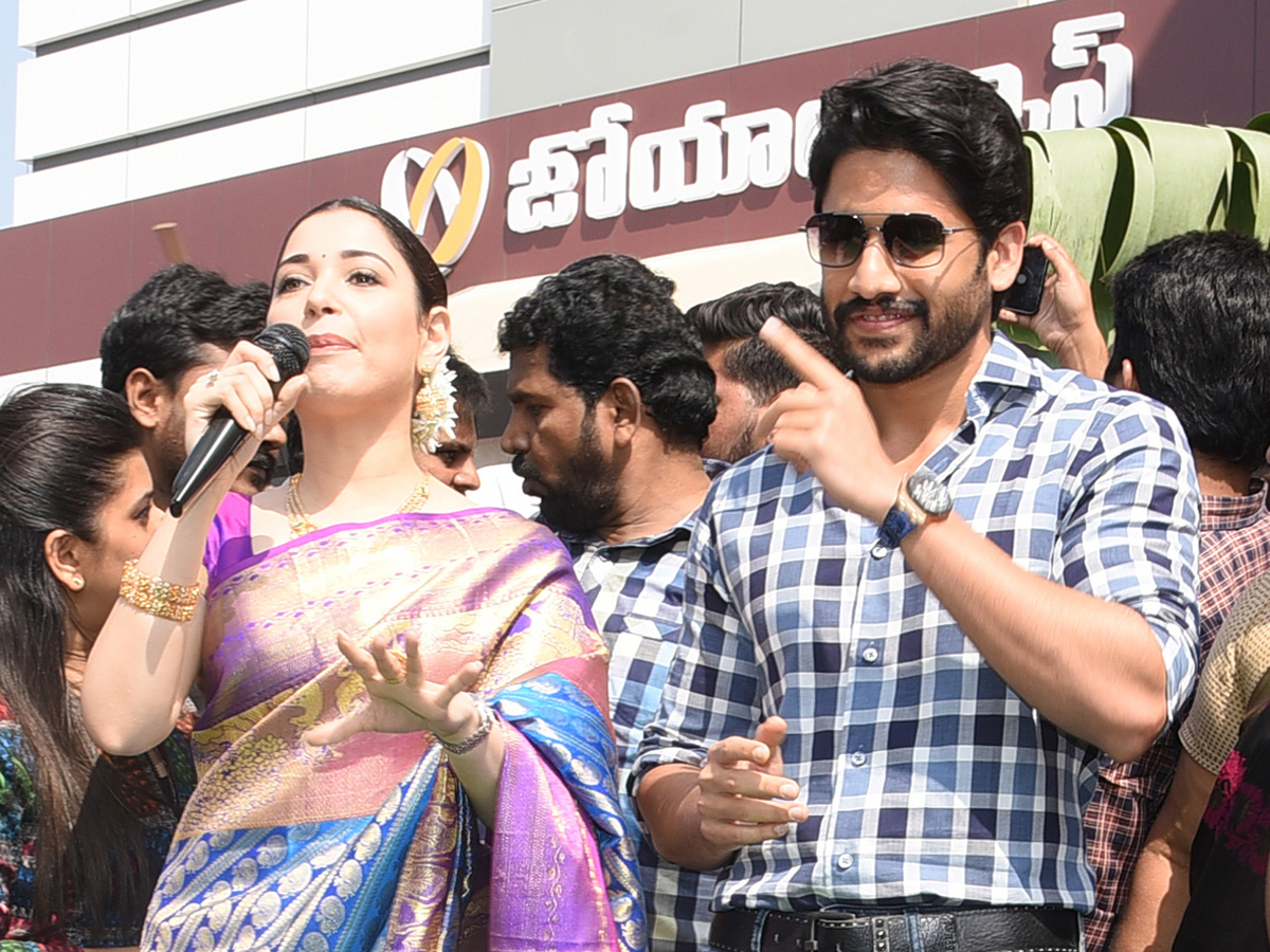 Naga Chaitanya And Tamanna Grand Entry In Guntur - Sakshi11