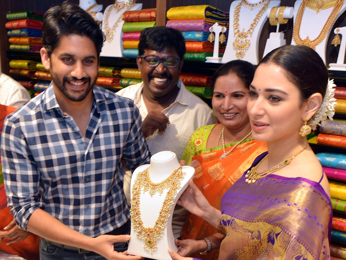 Naga Chaitanya And Tamanna Grand Entry In Guntur - Sakshi16