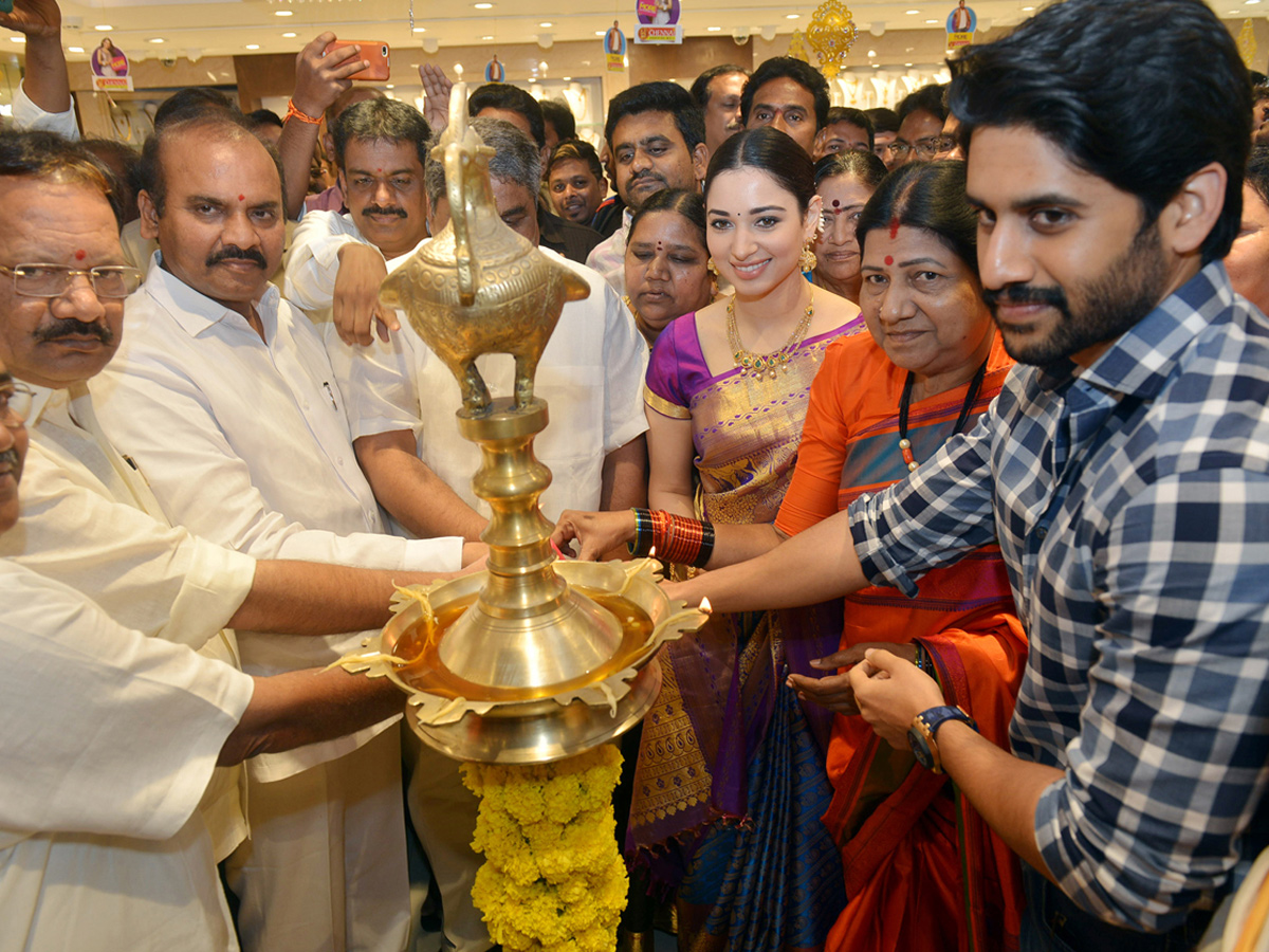 Naga Chaitanya And Tamanna Grand Entry In Guntur - Sakshi3