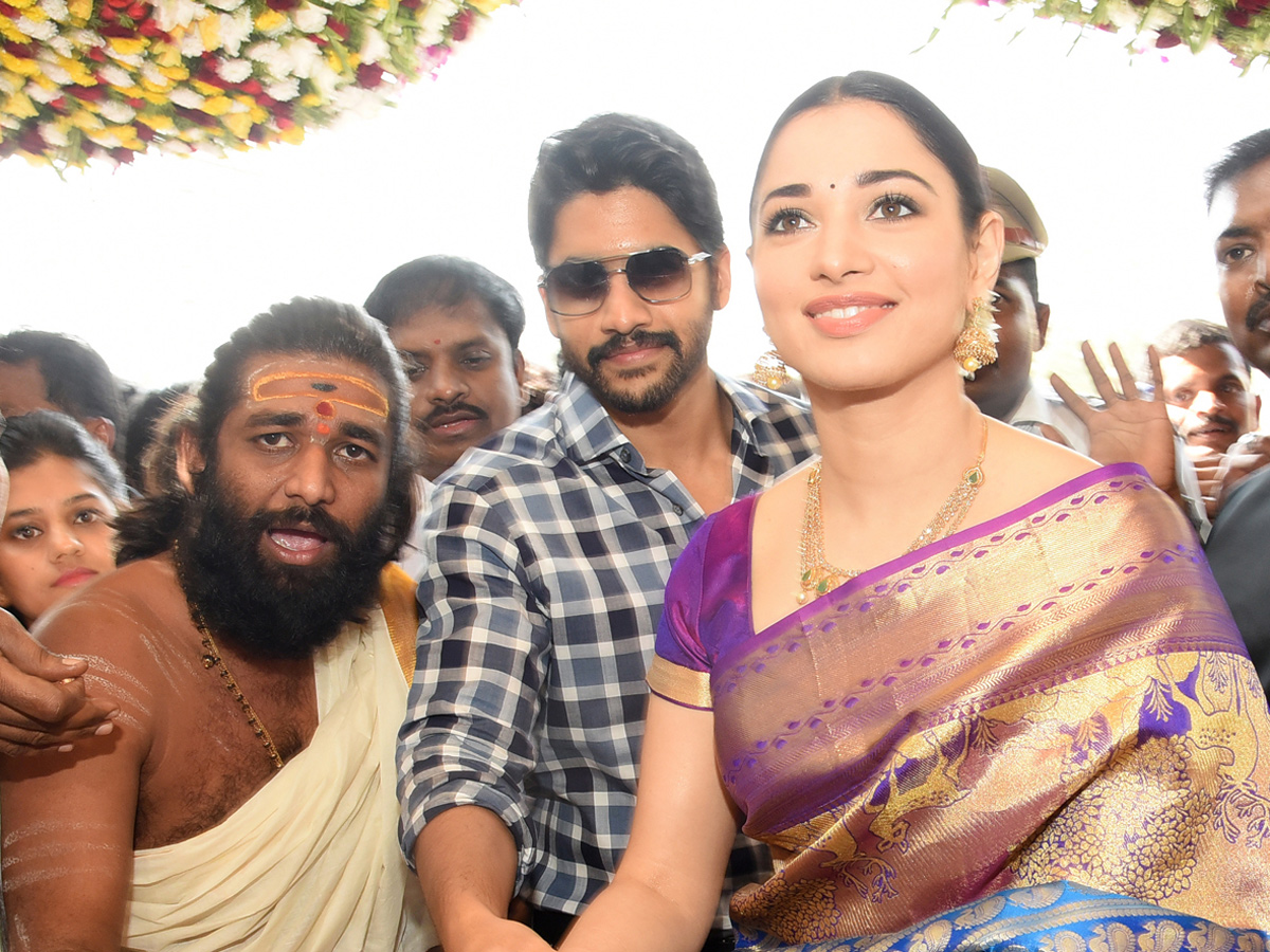 Naga Chaitanya And Tamanna Grand Entry In Guntur - Sakshi4