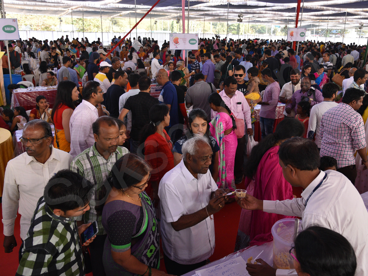 International Kite Festival 2018 at Parade Grounds - Sakshi19