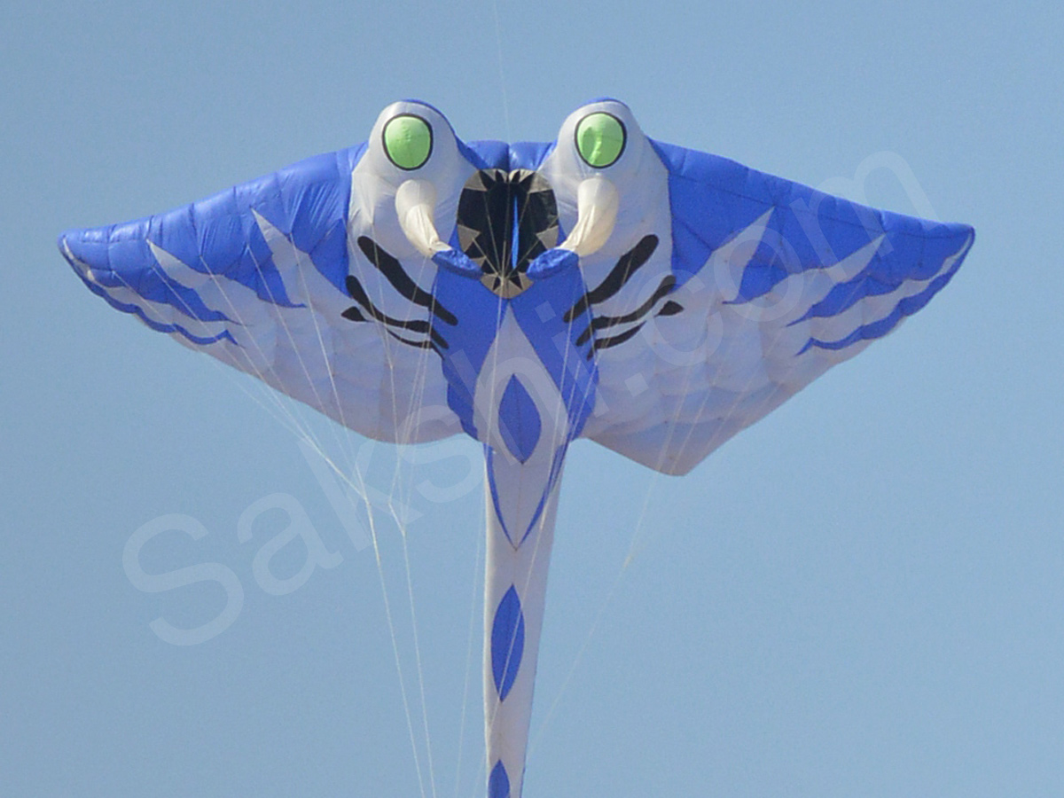 International Kite Festival 2018 at Parade Grounds - Sakshi35