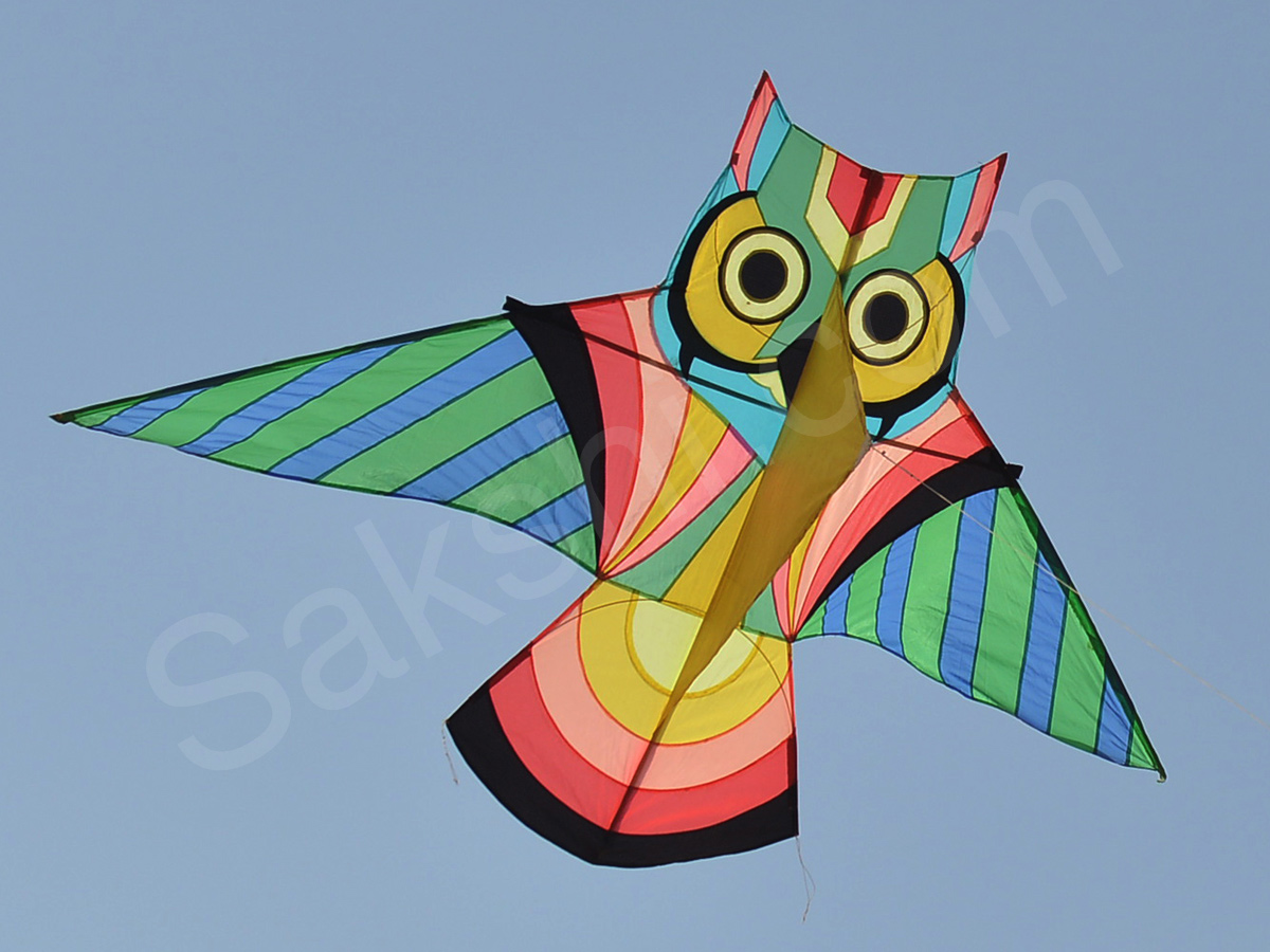 International Kite Festival 2018 at Parade Grounds - Sakshi7