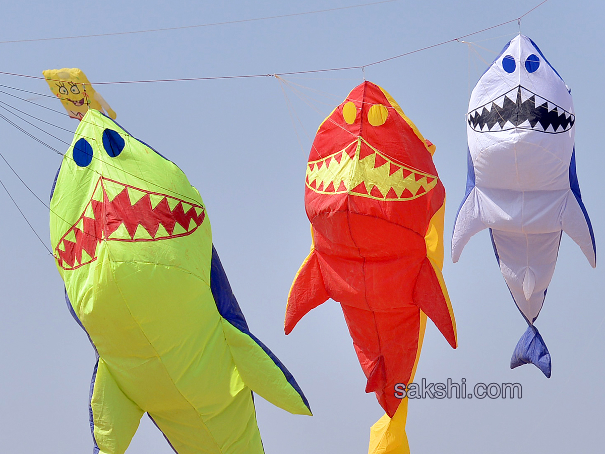 Telangana International Kite Festival - Sakshi9