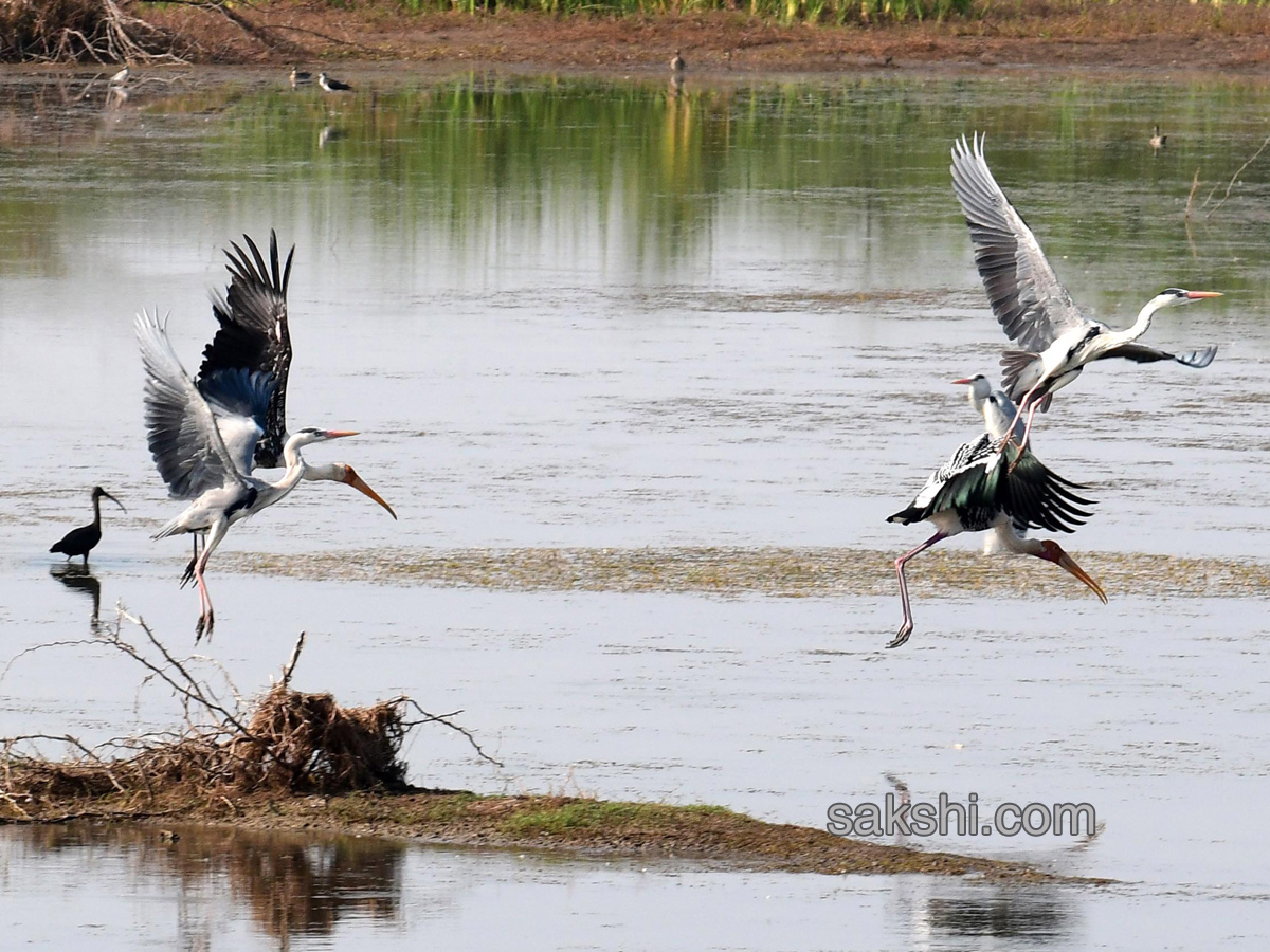 best photography - Sakshi19