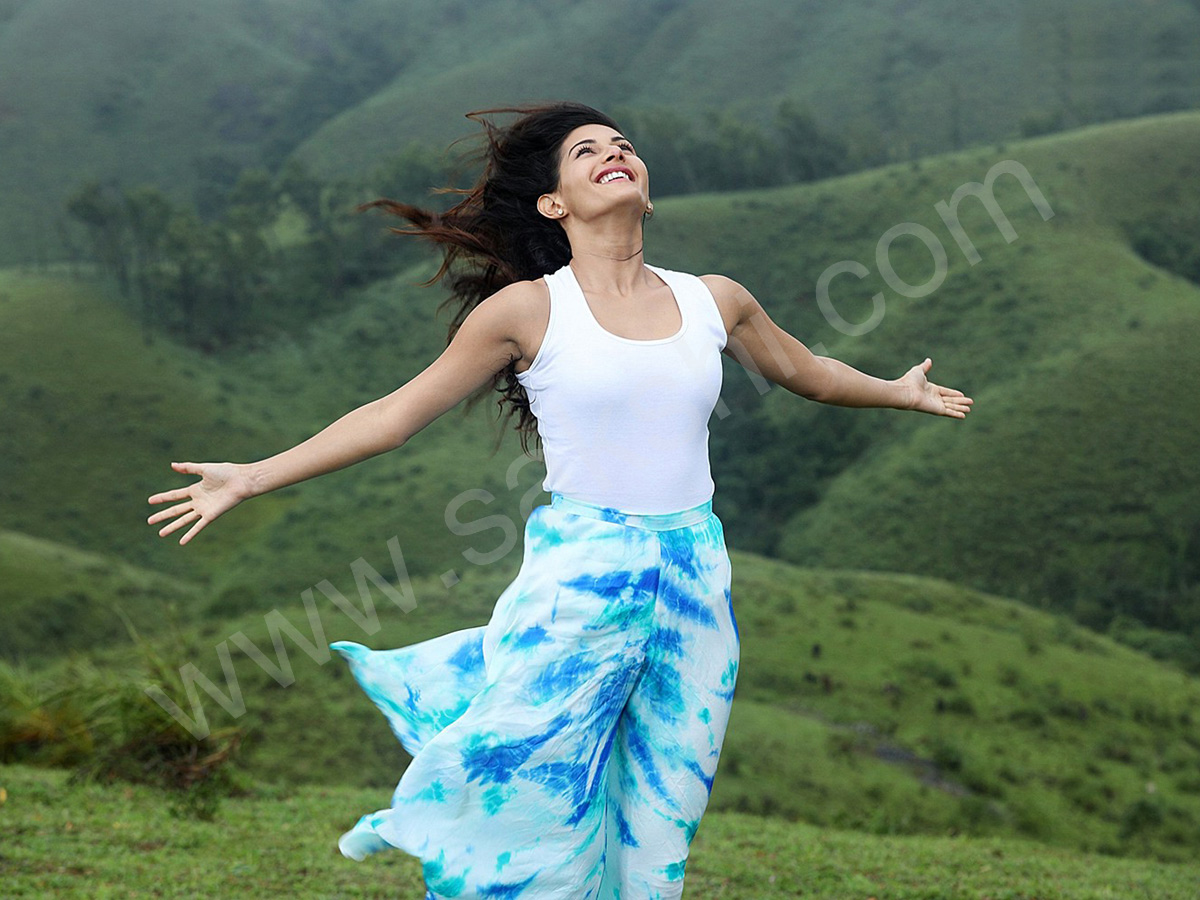 Manasuku Nachindi Movie Stills - Sakshi10