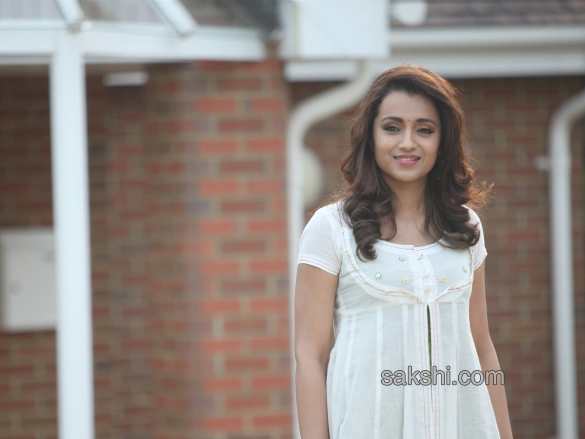 trisha mohini working stills - Sakshi9