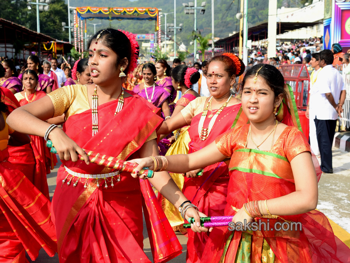 Ratha Saptami in Tirumala Tirupati - Sakshi10