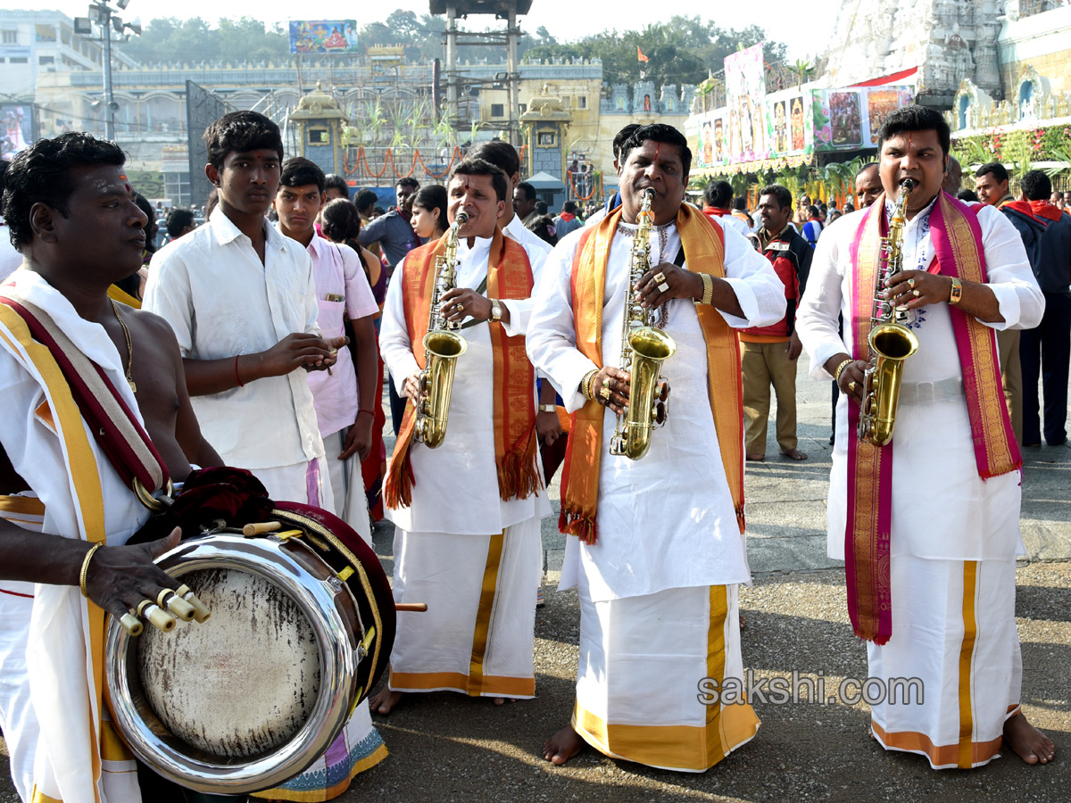 Ratha Saptami in Tirumala Tirupati - Sakshi29