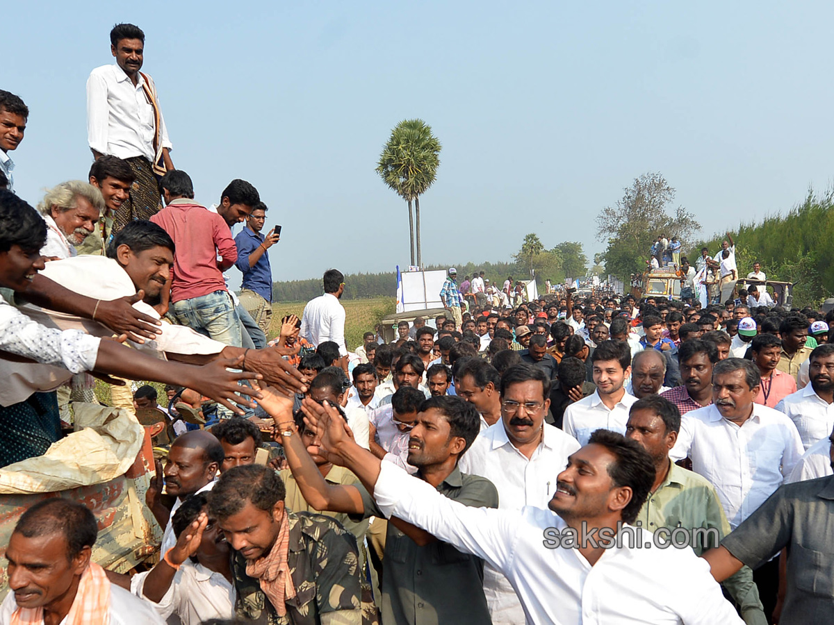 YS Jagan Mohan Reddy PrajaSankalpaYatra 1000 km - Sakshi22