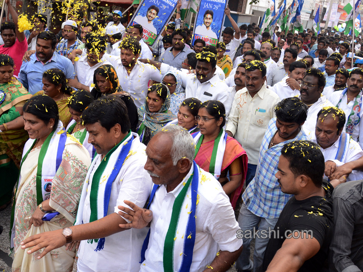 walk with jagan anna all districts - Sakshi12