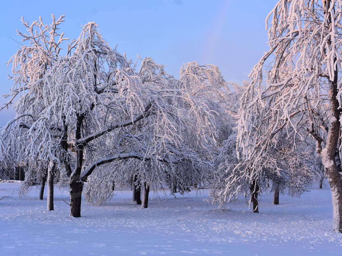 amazing photos of iced Niagara Falls - Sakshi10