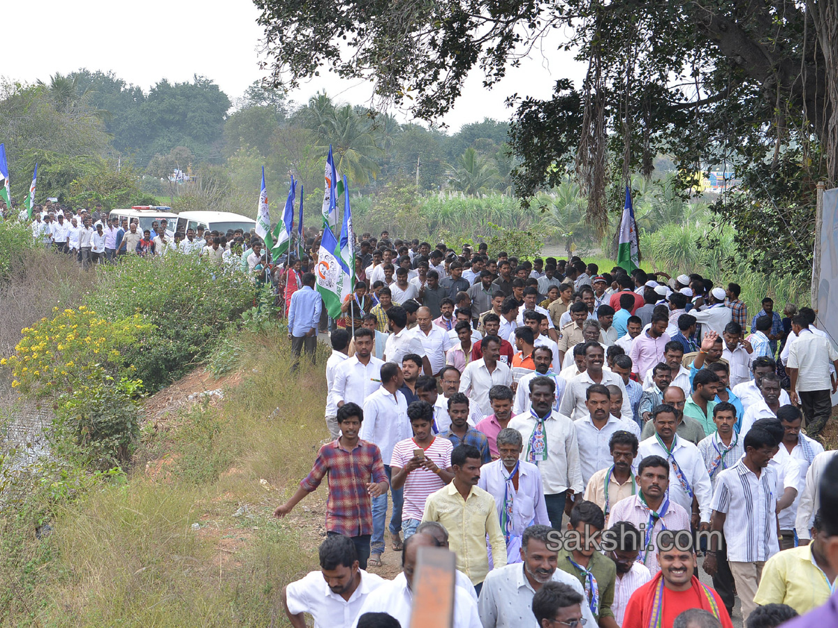 YS Jagan Day 52 Of PrajaSankalpaYatra  - Sakshi31