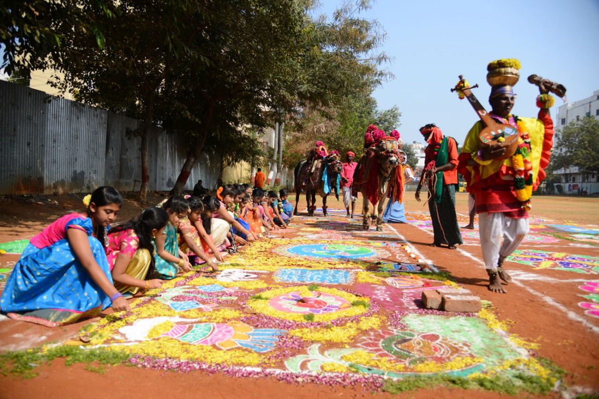 sankranti sambaralu in vijayawada - Sakshi8