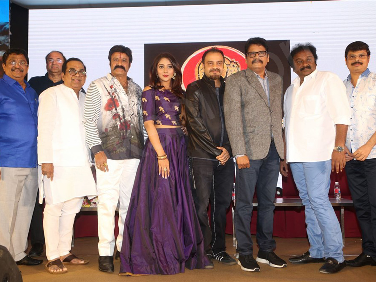 Jai Simha Pre Release Event - Sakshi2