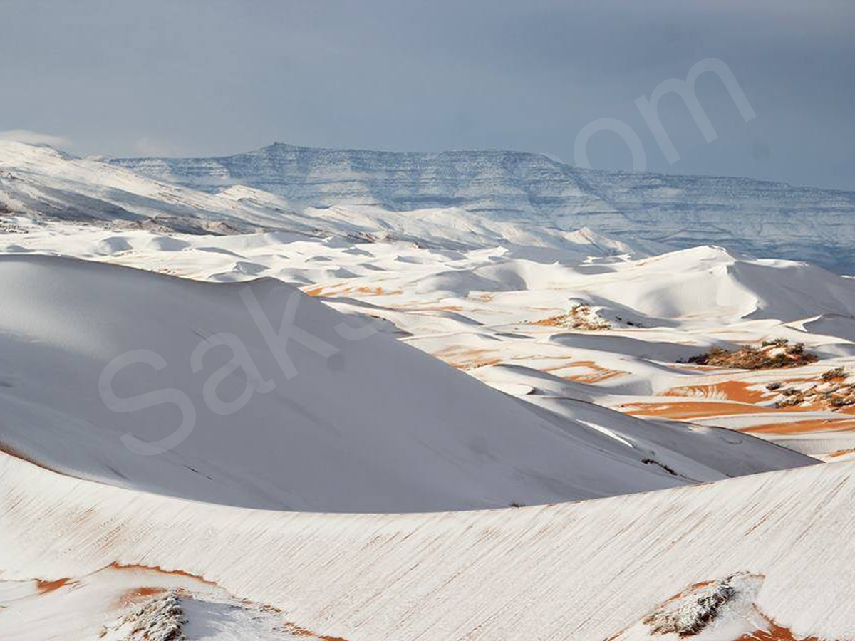 snowfall covers Sahara Desert - Sakshi1