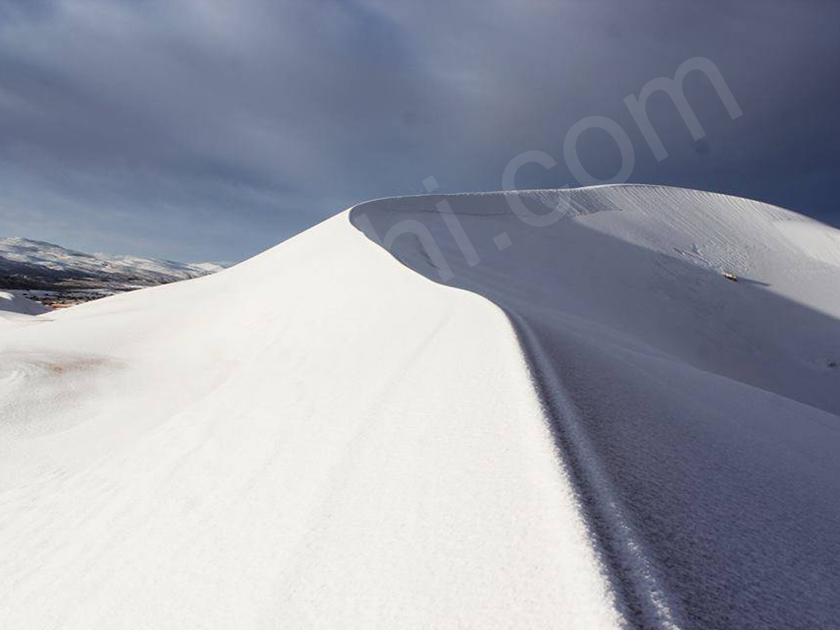 snowfall covers Sahara Desert - Sakshi11