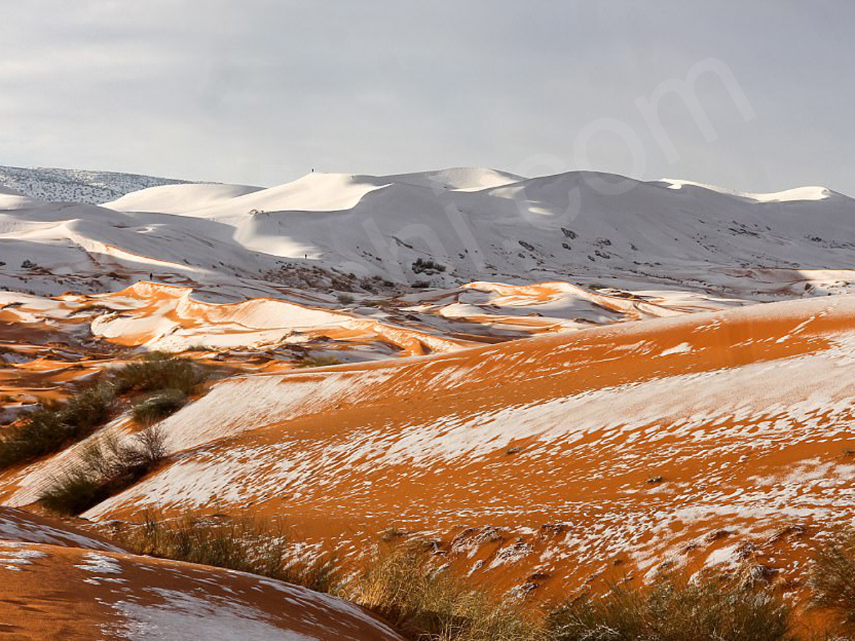 snowfall covers Sahara Desert - Sakshi12