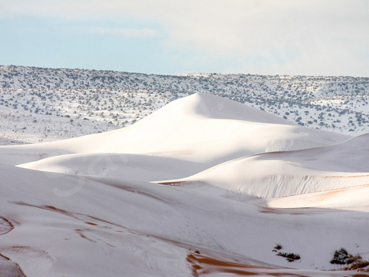 snowfall covers Sahara Desert - Sakshi13