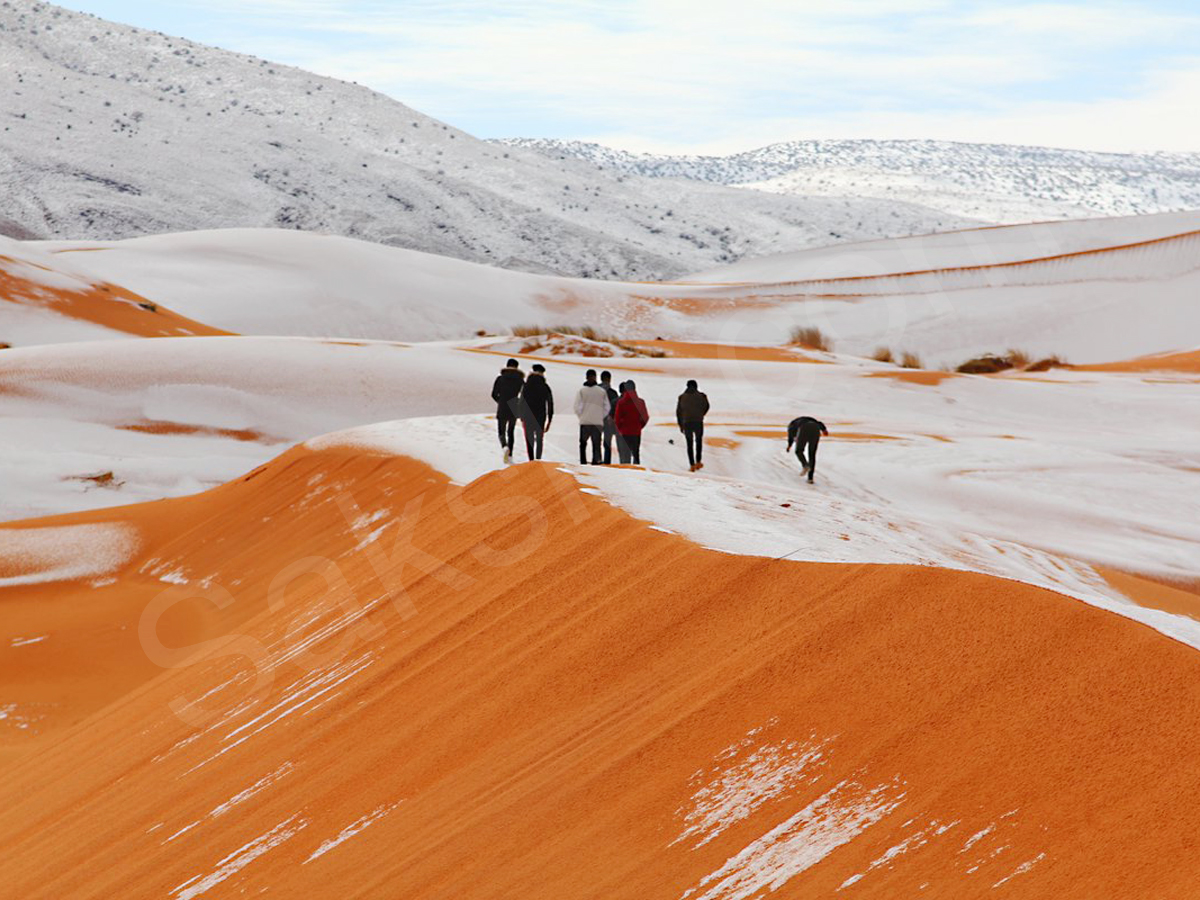 snowfall covers Sahara Desert - Sakshi14