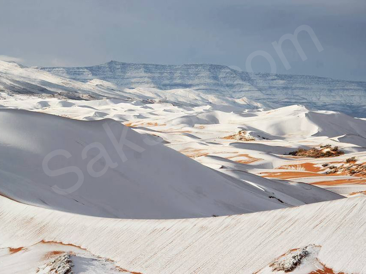 snowfall covers Sahara Desert - Sakshi15