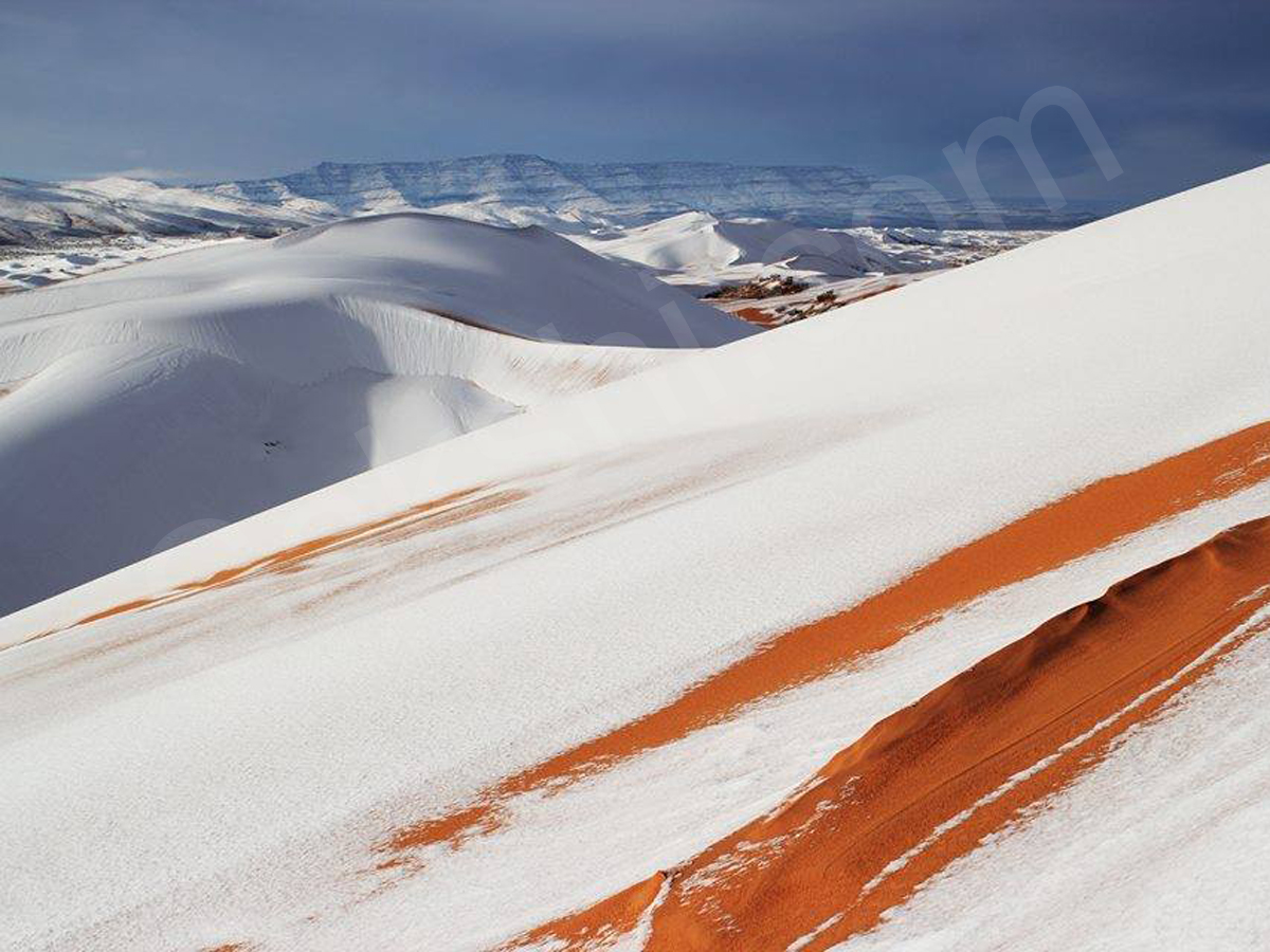 snowfall covers Sahara Desert - Sakshi2