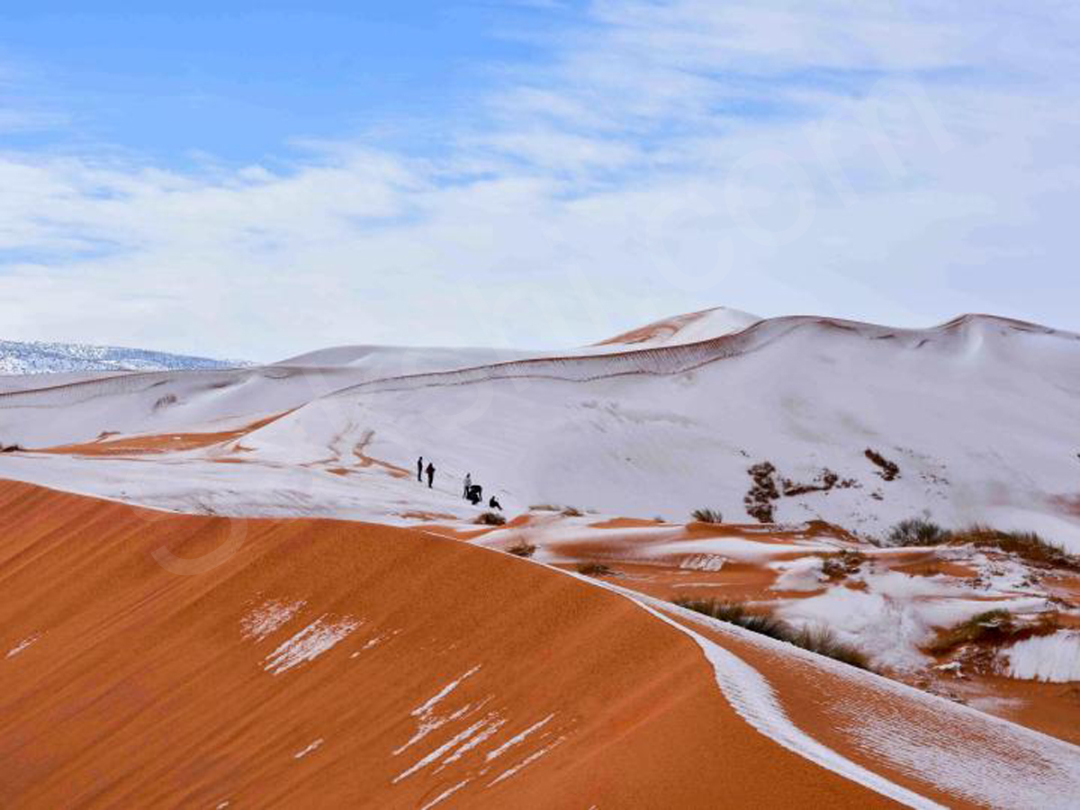 snowfall covers Sahara Desert - Sakshi4