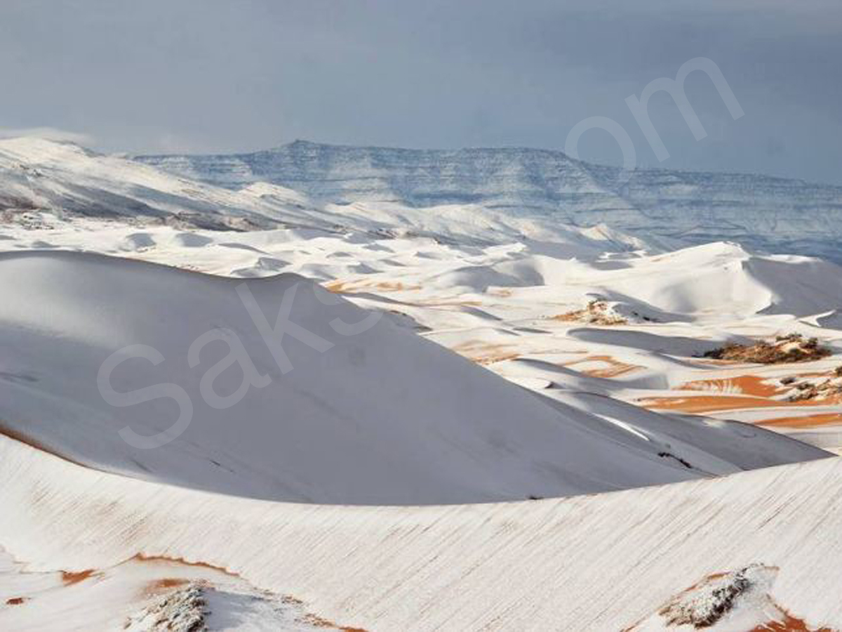 snowfall covers Sahara Desert - Sakshi6