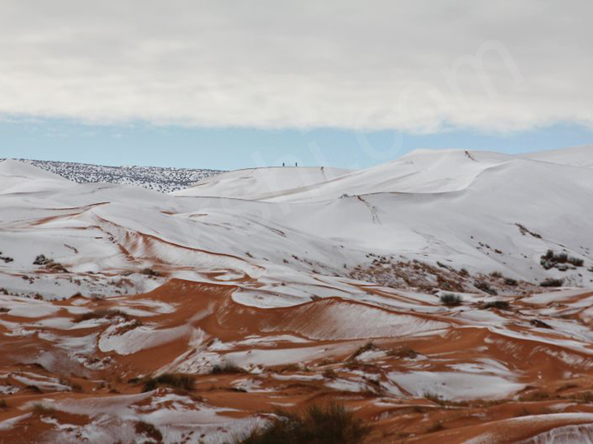 snowfall covers Sahara Desert - Sakshi7