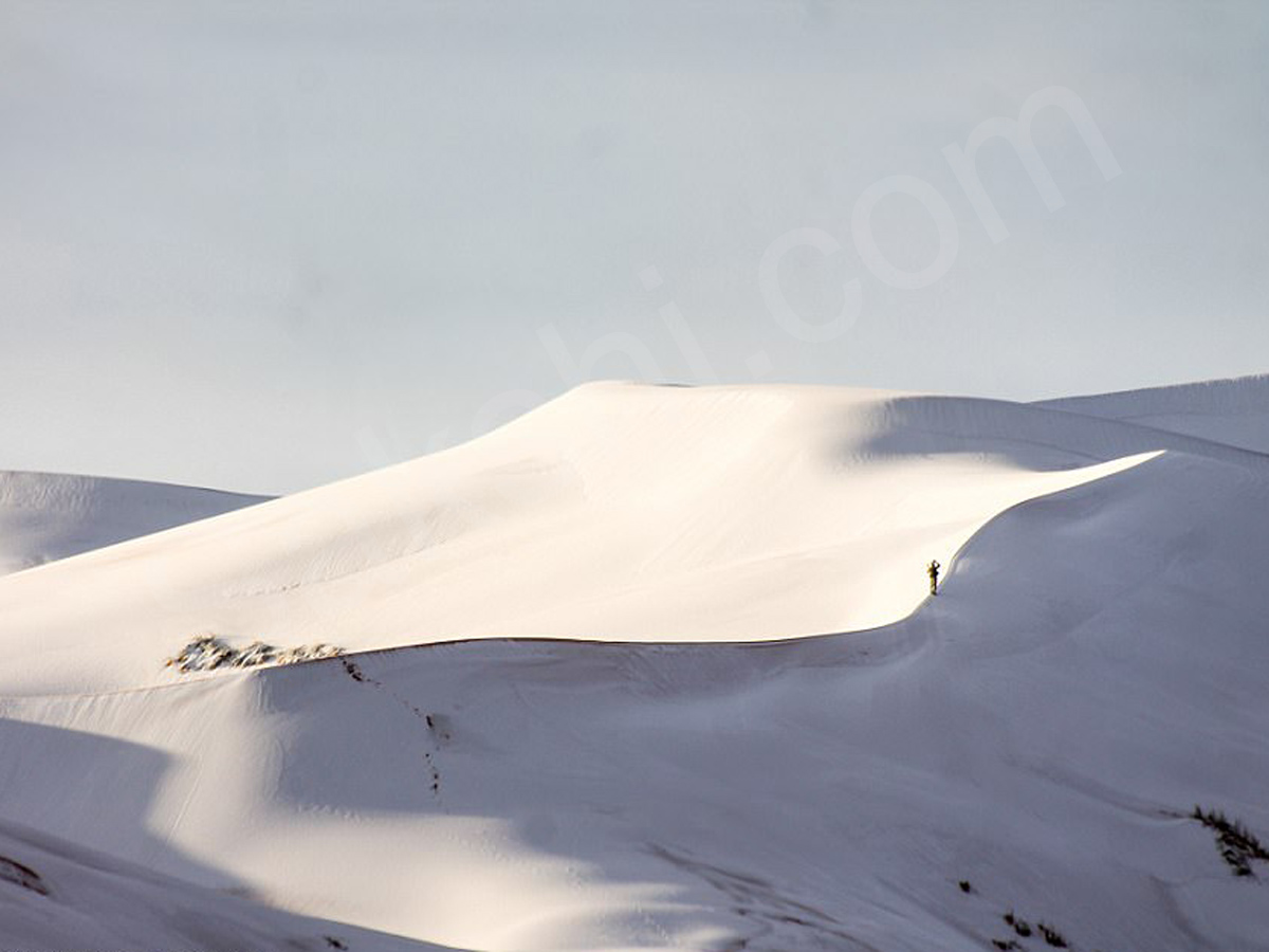 snowfall covers Sahara Desert - Sakshi8