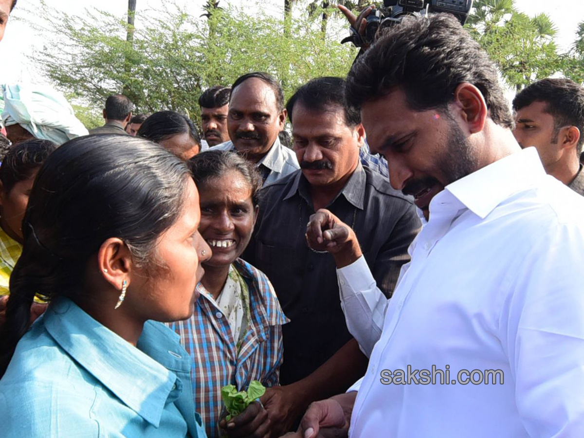 ys jagan prajasankalpayatra - Sakshi9