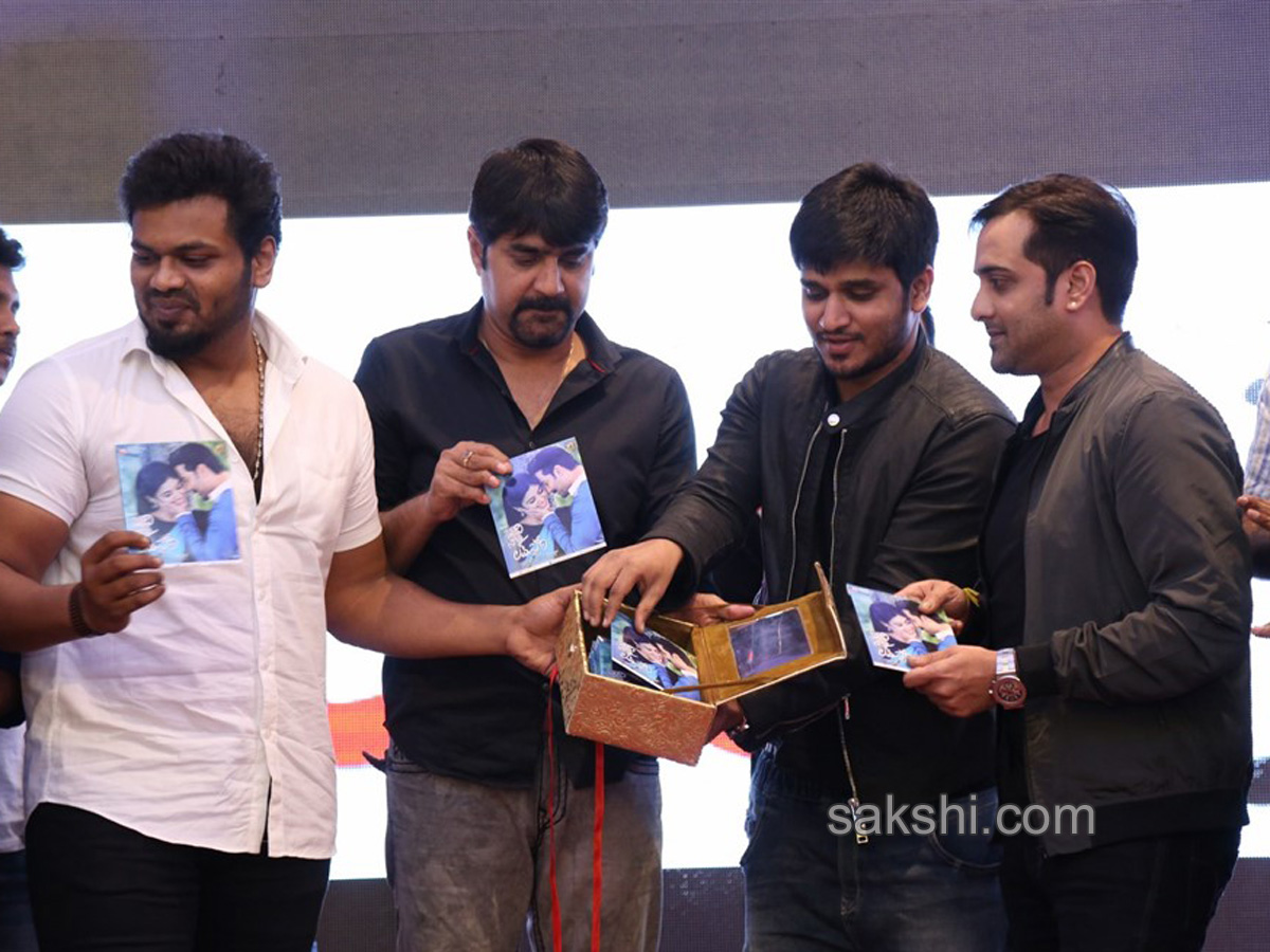 Idi Naa Love Story Pre Release Function - Sakshi2