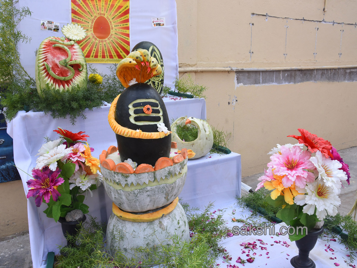 maha shivaratri in andhra pradesh - Sakshi10