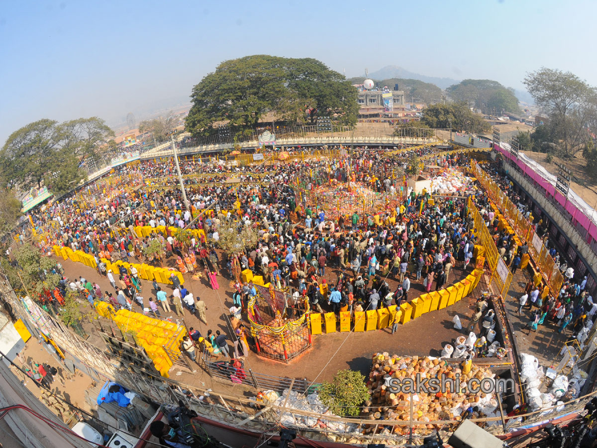 Sammakka Saralamma Jatara - Sakshi19