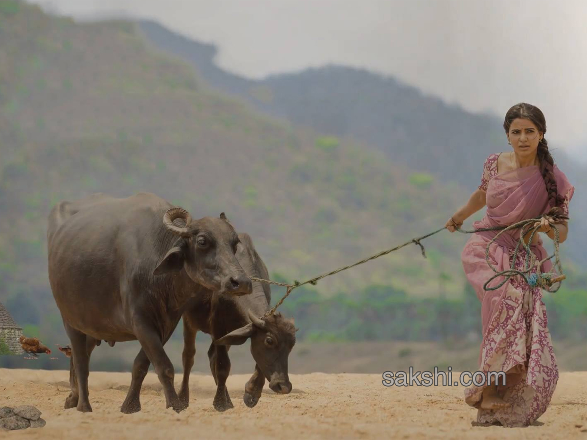 Rangasthalam Movie Stills - Sakshi8