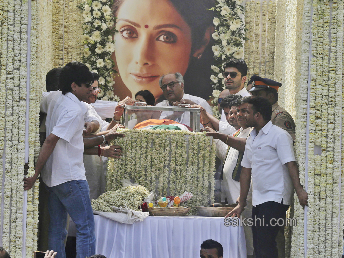 Sridevi Final Journey Photos - Sakshi1