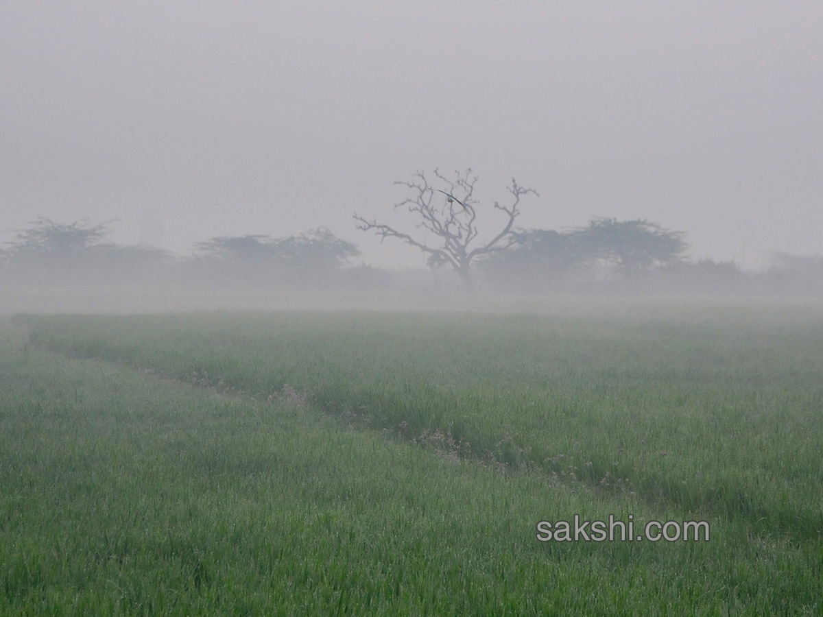 weekend best photographys - Sakshi40