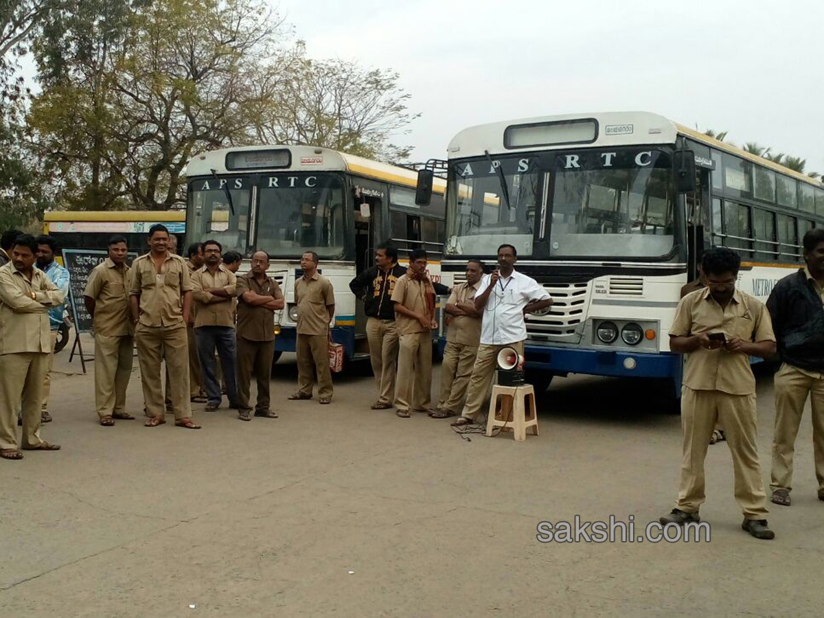 AP Bandh For Special Status - Sakshi17