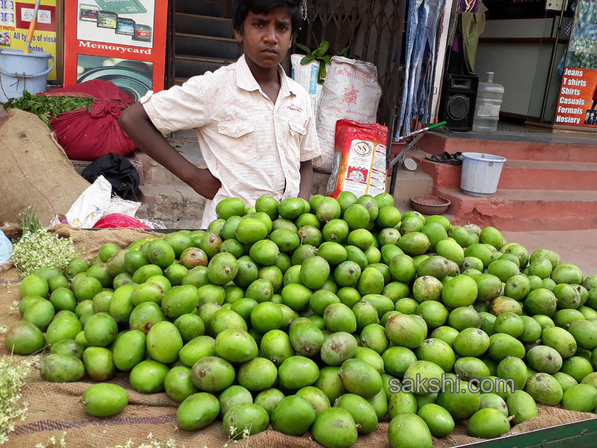 ugadi celebrations - Sakshi14