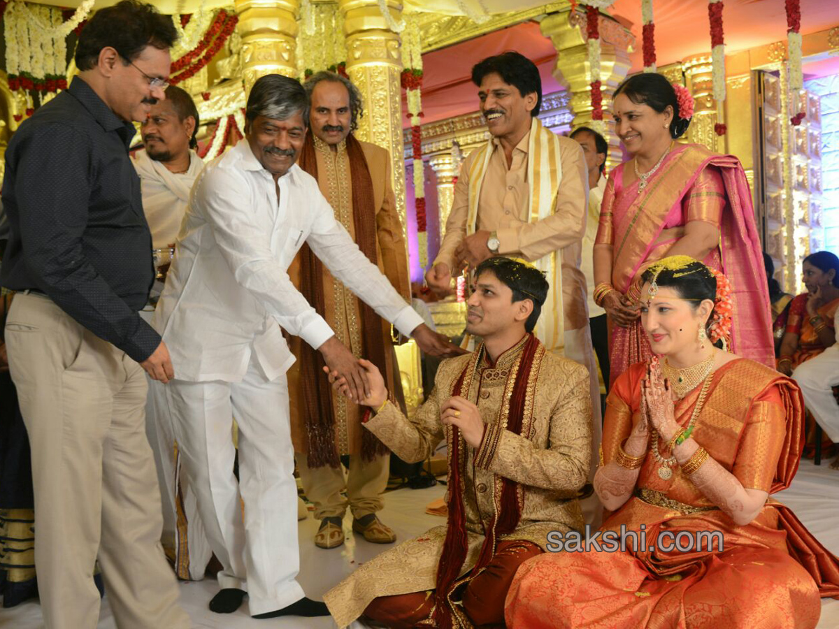 Chess Grand Master Pentala HariKrishna Wedding Photos - Sakshi3