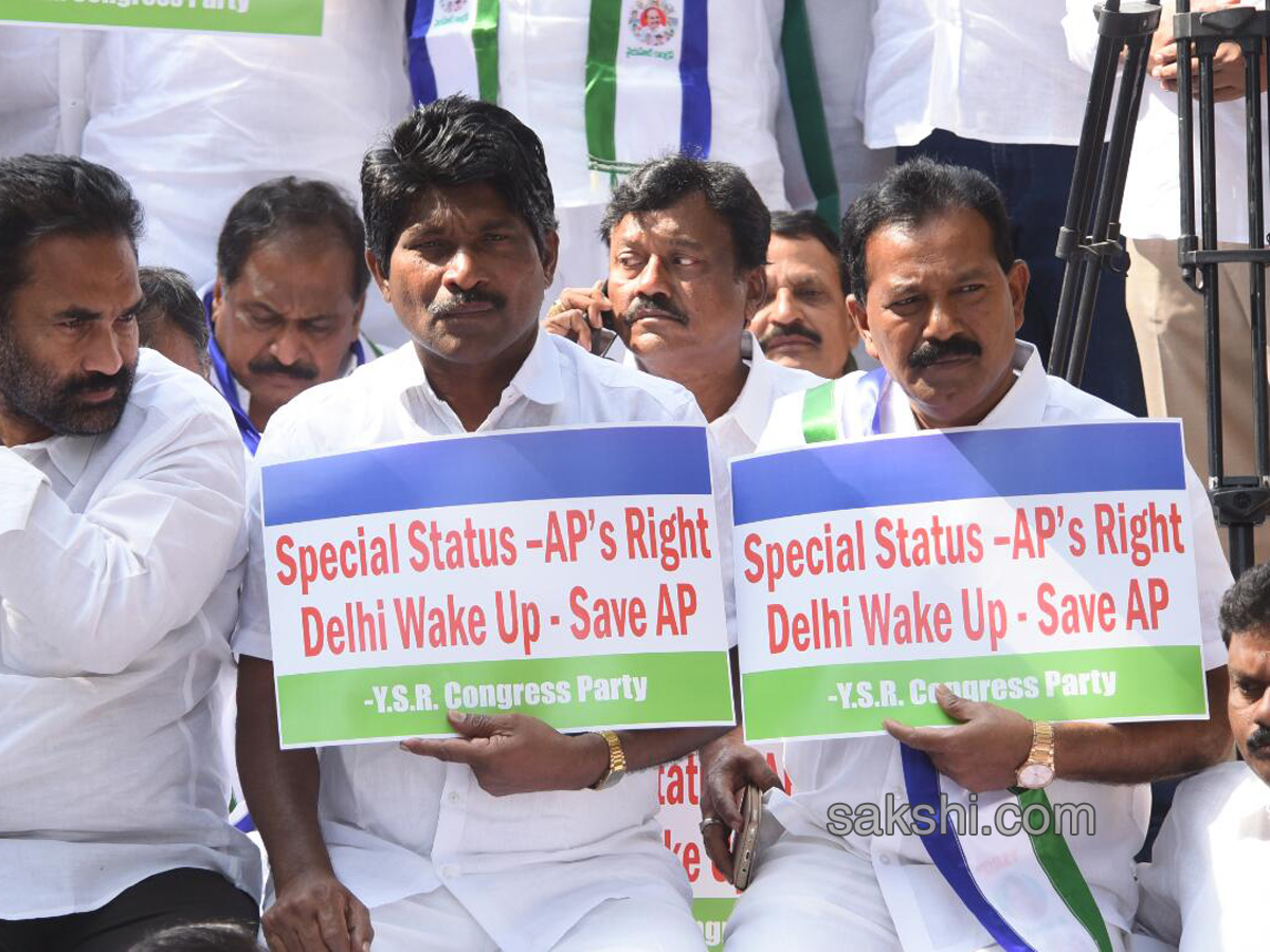 Ysrcp protests delhi demanding special status ap - Sakshi21